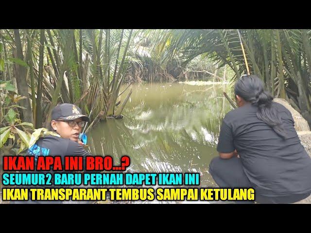 Cilacap...!!! Baru Pernah Mancing Dapat Ikan Transparant Sampai Ketulang ft @GondrongLabanan