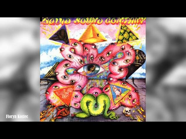 Liquid Sound Company - Exploring The Psychedelic (1996)