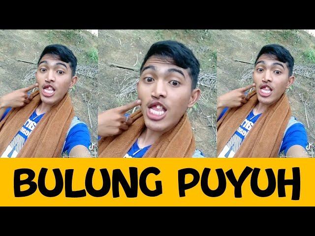 BULUNG PUYUH - KANG SELEBEW