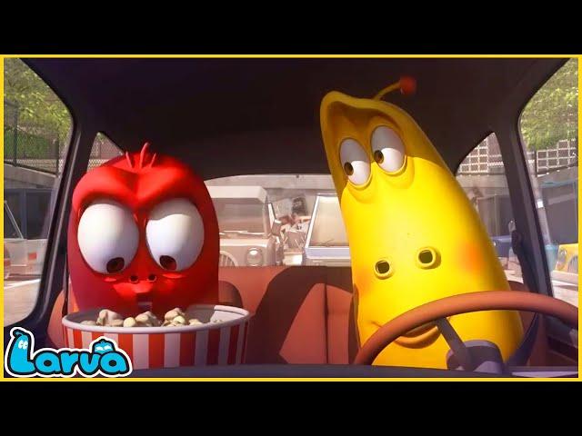 LARVA | DRIVE | CARTOON MOVIE FOR LIFE | THE BEST OF CARTOON | HILARIOUS CARTOON COMPILATION