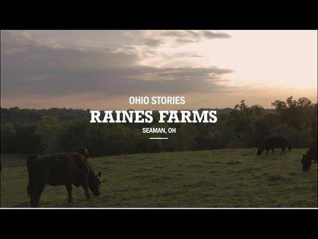 Ohio Stories: Raines Farms