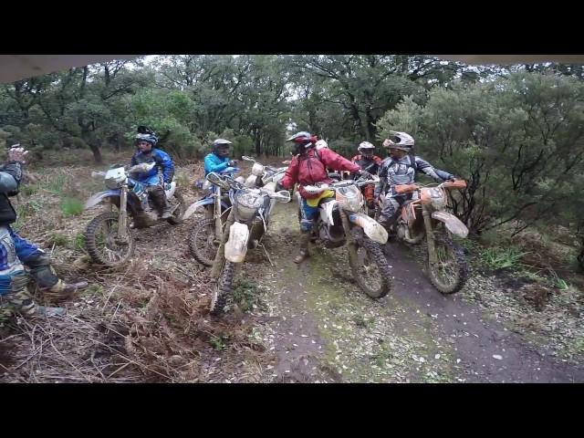 Enduro: Forest Run