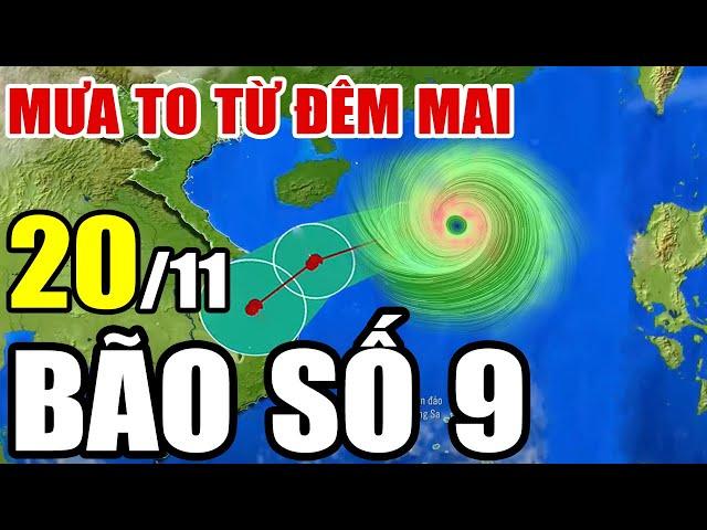 [Trực Tiếp] Dự báo thời tiết hôm nay và ngày mai 20/11/2024 | dự báo thời tiết 3 ngày tới