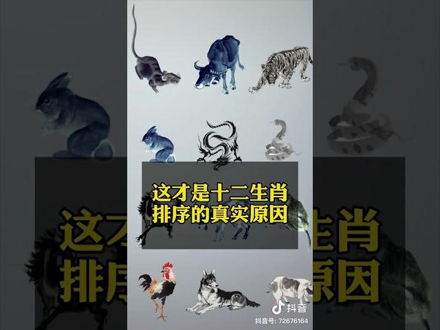 12生肖排序源由