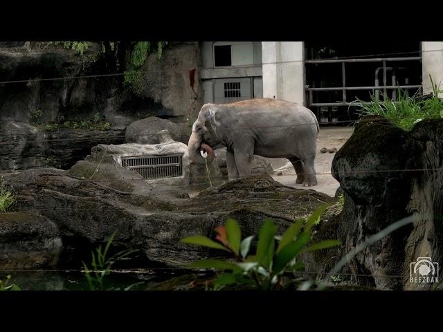 Taipei Zoo