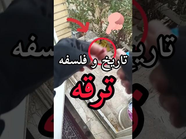دلیل علمی نام ترقه -گوست بوی