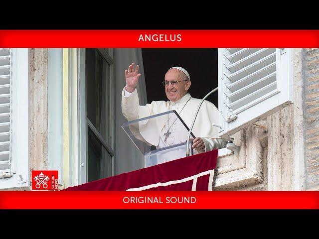 June 23 2024 Angelus prayer Pope Francis