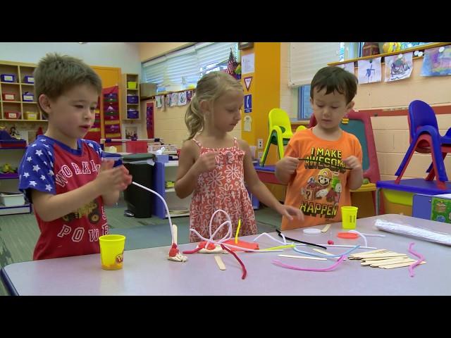 STEM in Early Learning: Engineering with the Three Little Pigs