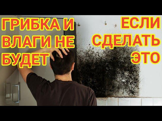 Что Делать если Стены Плачут в Новостройке