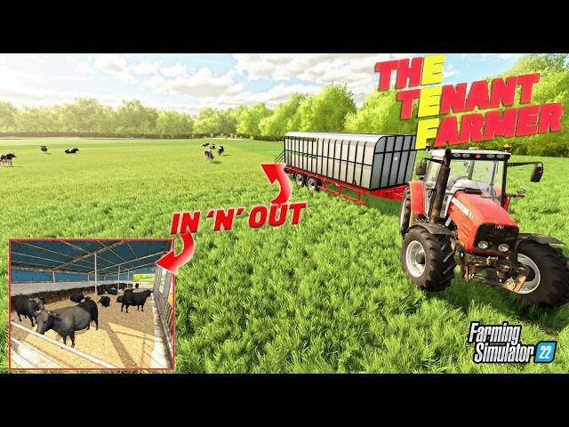 Life as a Tenant Dairy Farmer in the Uk| Supercut series episode 31-40 | Farming Simulator 22