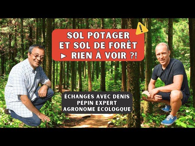 Rencontre avec Denis Pépin, expert jardinier et auteurs succès avec 40 années de pratique