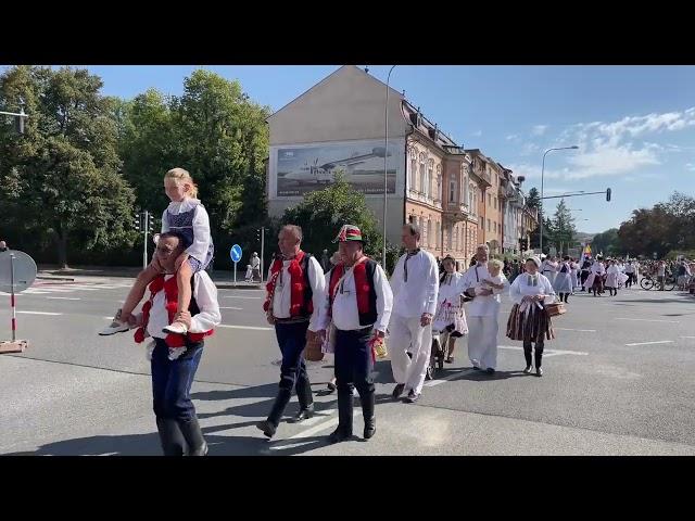 Průvod - Slavnosti vína Uherské Hradiště 2024