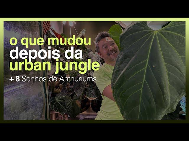 O QUE MUDOU DEPOIS DA URBAN JUNGLE + 8 SONHOS DE ANTHURIUMS