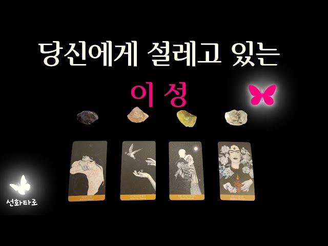 [타로I연애] 당신에게 설레고 있는 이성