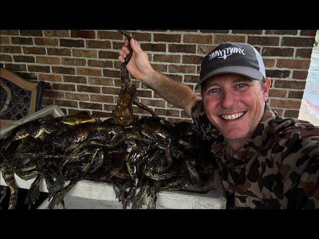 Arkansas BAREHANDED bullfrog hunting. (CATCH and Cook)