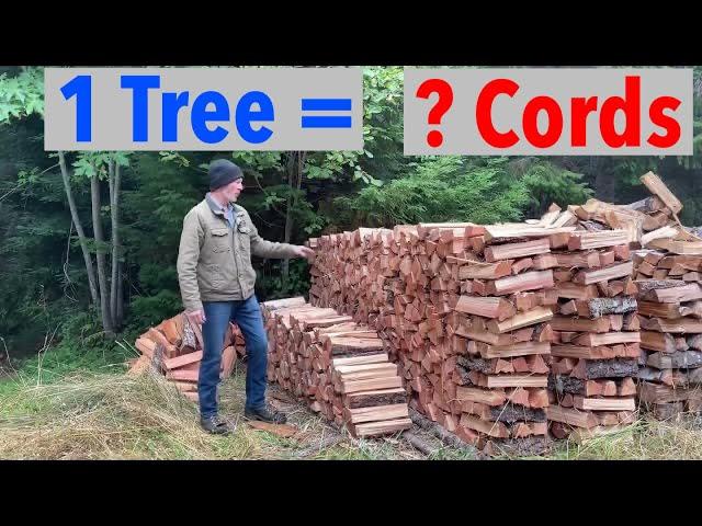 Finding Out How Much Firewood is in a Tree