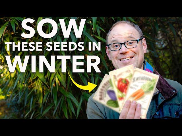 You Must Sow These Seeds in Winter