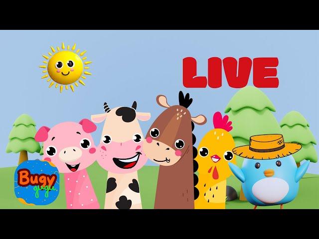 Dance Song  LIVE STREAM | Numbers Alphabet Kids songs and videos | Babies learn songs #Bugygugu 