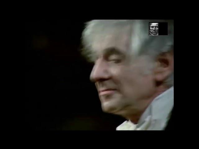 Beethoven Symphony No 3 in E „Eroica“ Leonard Bernstein Wiener Philharmoniker