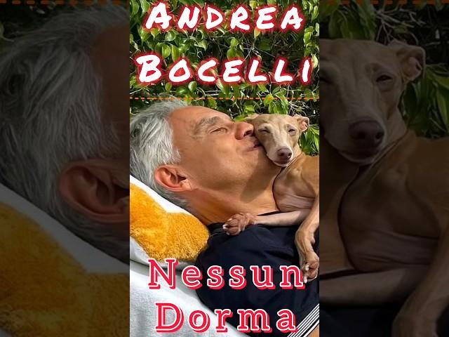 Andrea Bocelli sings "Nessun Dorma"