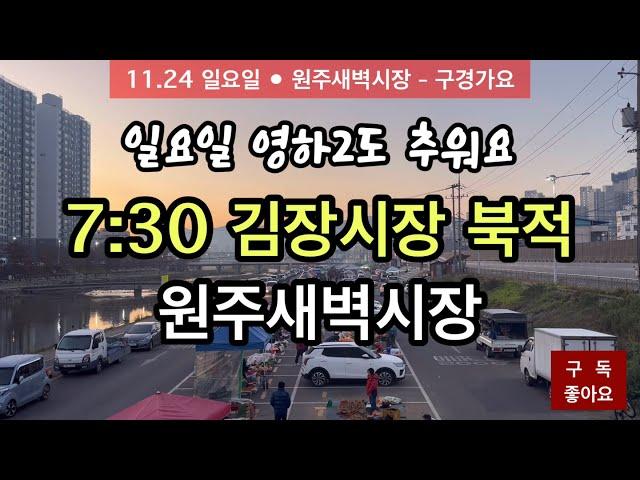 일요일 김장시장 북적북적 #원주새벽시장 #원주시장 #김치 #재래시장 #배추#무우