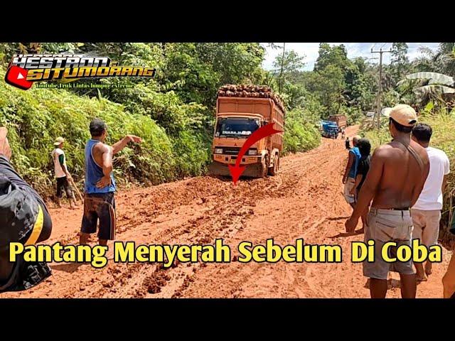 Berani Coba!! Sopir Pantang Menyerah Sebelum Di Coba