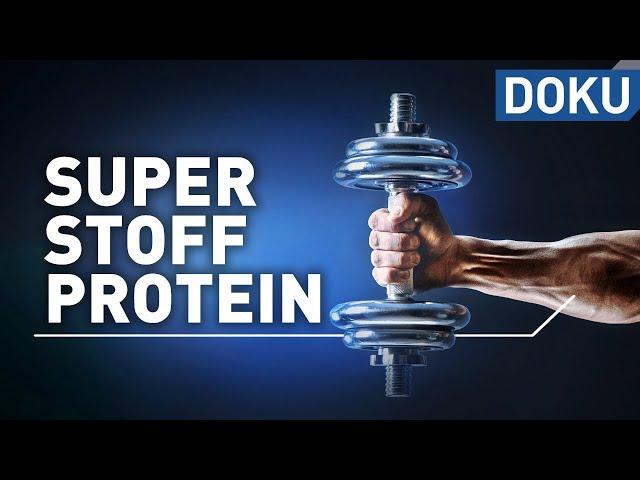 Superstoff Protein – macht Eiweiß schlank und fit? | Superstoffe | alles wissen | doku