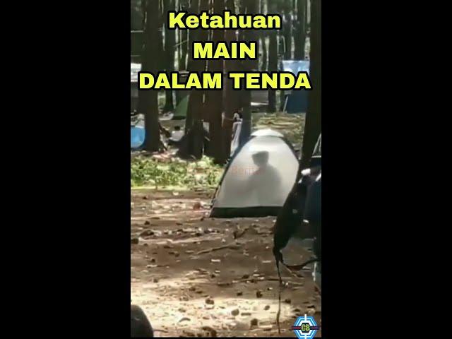 viral MAIN BERDUA DALAM TENDA