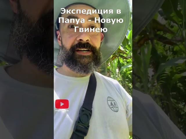 167. Смотрим, чтобы кокосы не упали на голову #shorts