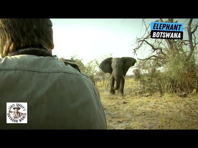 Best of Botswana Elephant Hunts!