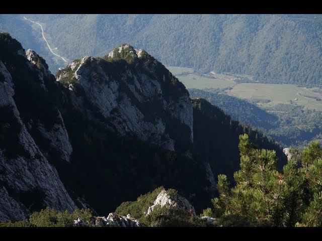 Piatra Craiului - Padina Hotarului  - Vf Turnu - Valea Crapaturii