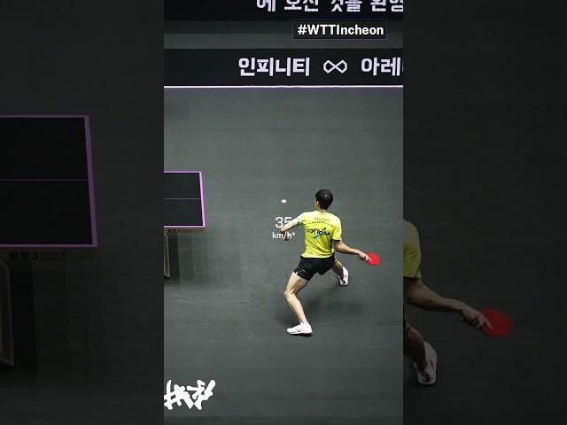 The speed of a table tennis ball during a rally is ___  #WTTIncheon #Shorts