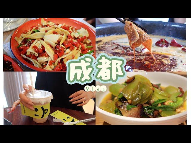 【成都Vlog】三天两晚逛吃City Walk/成都美食·黄椒美蛙火锅·街边小吃·甜水面·江湖菜·烤肉自助·咖啡/拍照打卡/春熙路·太古里·东郊记忆·九眼桥夜景