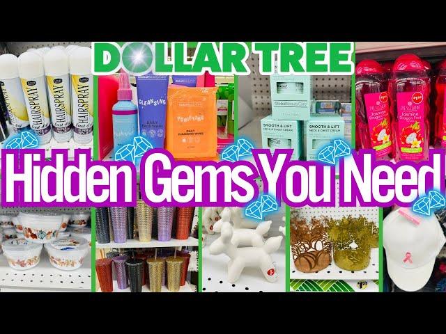 Dollar TreeHidden Gems You Need To Buy NOWNEW Arrivals Dollar Tree #new #dollartree