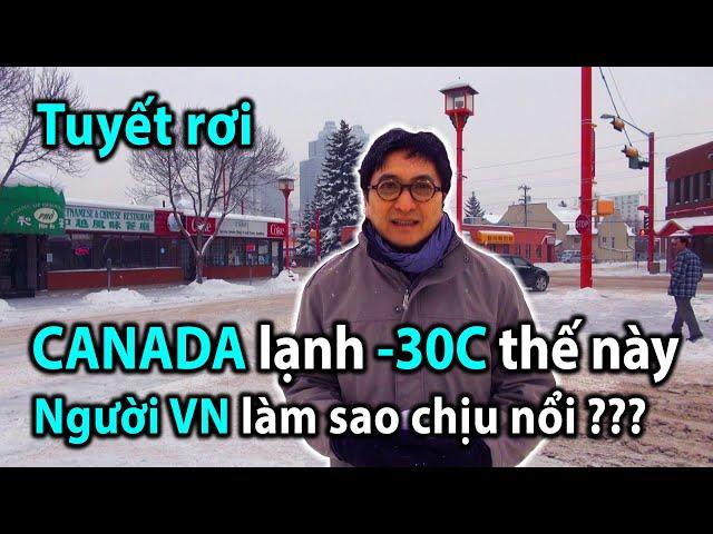 CĐVN Edmonton Alberta lớn mạnh dù mùa Đông lạnh lẽo. Thầy Pháp Hòa trụ trì Trúc Lâm, Tây Thiên ở đây