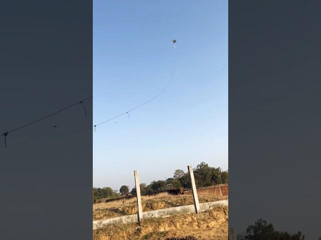 Little Bird flying kite #cutebaby #funny #love