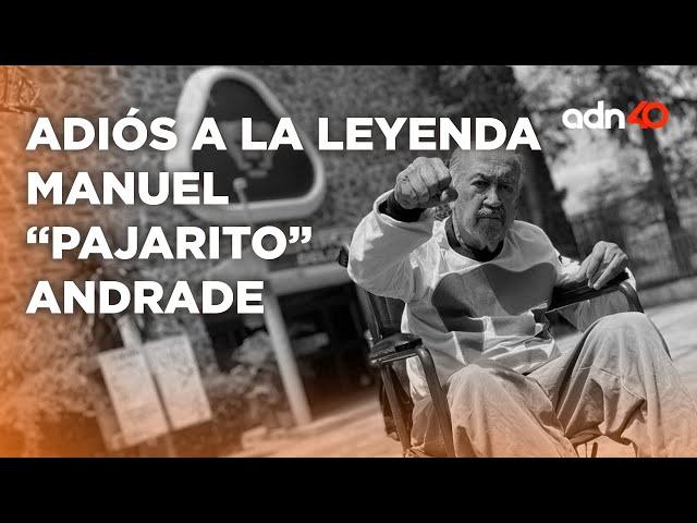 ¡Última Hora! Murió Manuel "Pajarito" Andrade, el creador del lengendario logo de Pumas de la UNAM