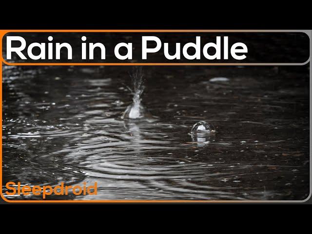 ► Raindrops in a Puddle Up Close | Rain Sounds for Sleeping, Studying, or Helping Parents Sleep Fast