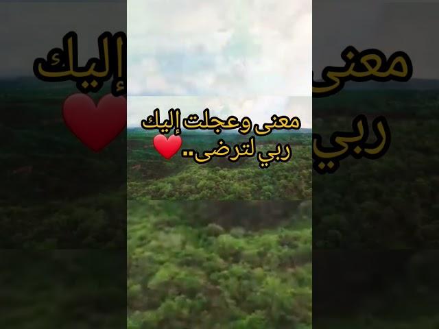 مامعنى وعجلت إليك ربي لترضى؟        الشيخ: محمد صالح المنجد
