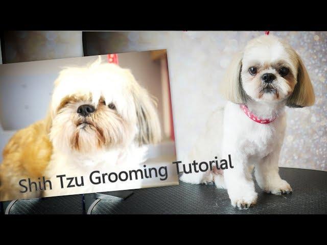 PetGroooming - Shih Tzu Grooming from start to finish #91