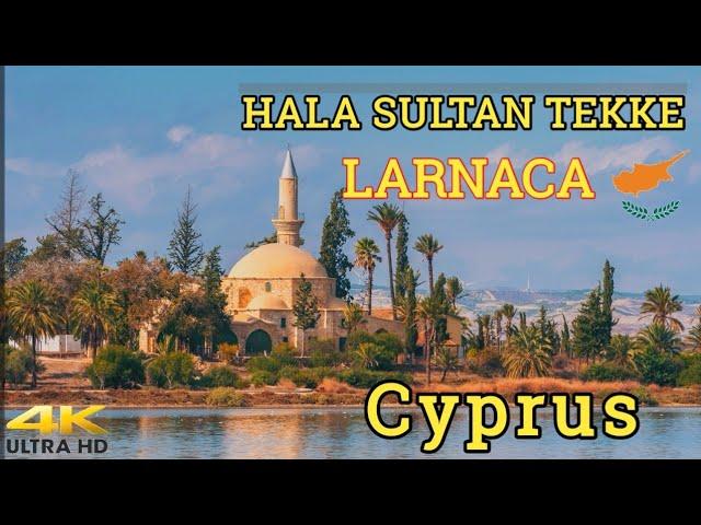 Hala Sultan Tekke |  Larnaca |  Cyprus    #larnaca #ottoman #cyprus #mosque #travelarc