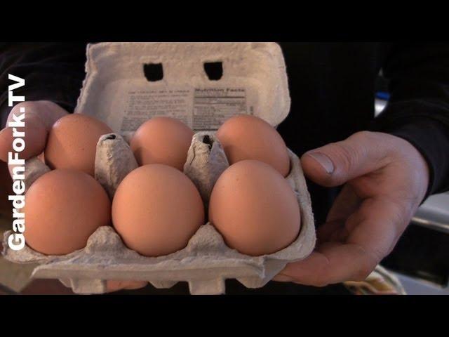 Poach Eggs How To GardenFork Quick Tip