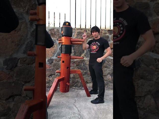 Wing Chun Chain Punch Tutorial #shorts