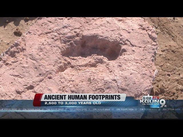 Ancient human footprints found