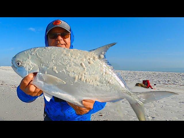 26 Pompano Fishing Tips That Work