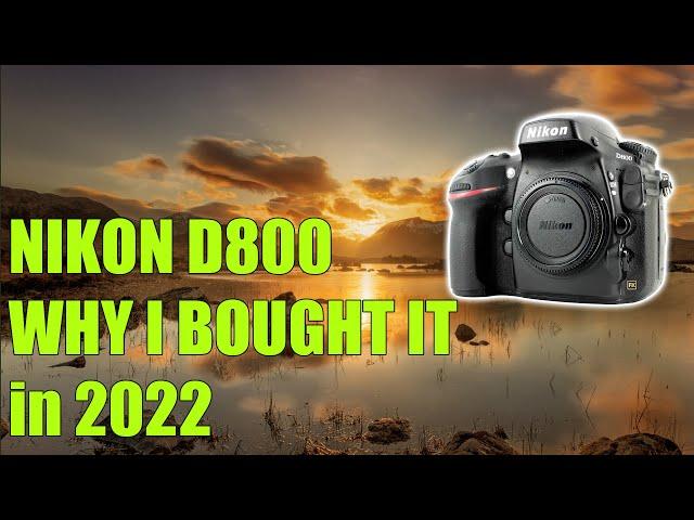 Nikon D800 | WHY I BOUGHT IT IN 2022