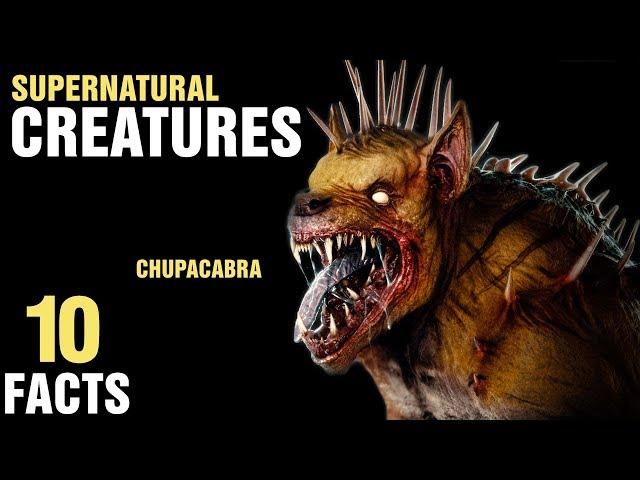 10 Surprising Supernatural Creatures That Exist