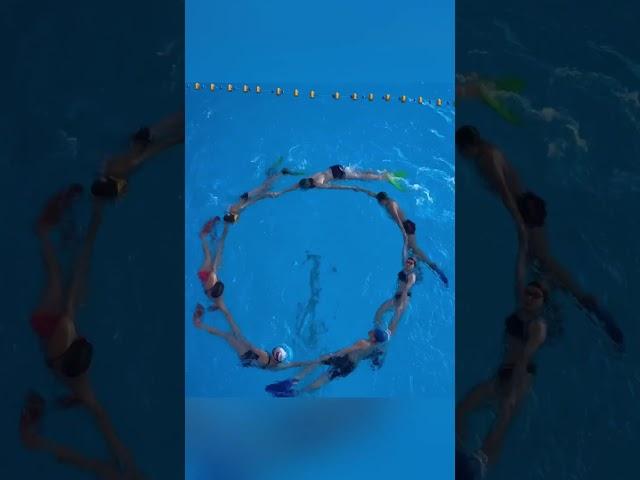 #плавание #здоровыйобразжизни #swimming #зож #обучениеплаванию #спорт #подводныйспорт #finswimming