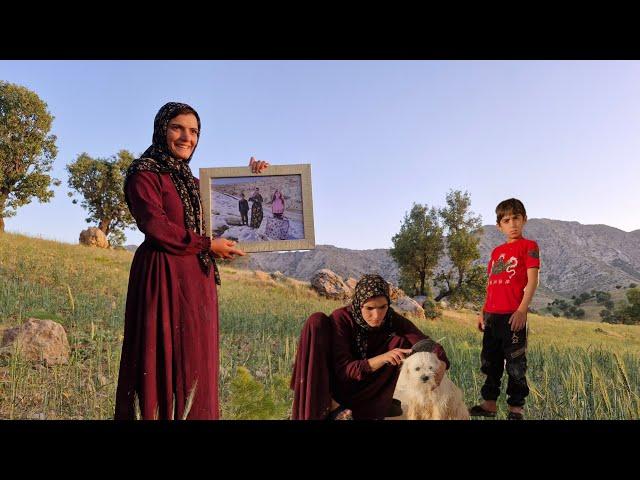 A Wish in the Heart of the Zagros Mountains: The Story of a Papi Dog's Rescue in an Abandoned Hut...