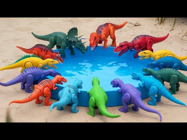 Dinosaur Colorful Fighting: T-Rex vs Atrociraptor vs Tyrannosaurus Rex, JURASSIC WORLD DINOSAURS!